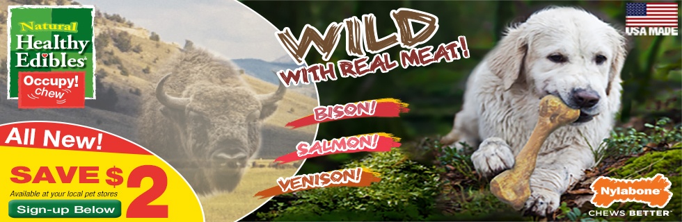 LP_Wild_Email_980x320.jpg