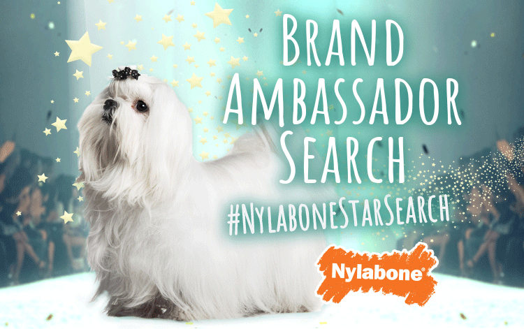 BASearch_WEBNL-JAN19-FT1-750x471