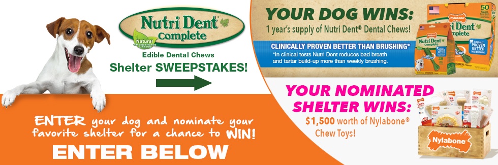 Nutri Dent Shelter Sweepstakes