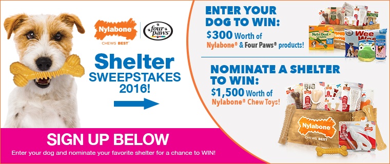 Enter the Nylabone & Four Paws Shelter Sweepstakes